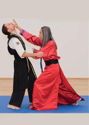 Hwa Rang Do Grandmaster Taejoon Lee October 2020 Budo International